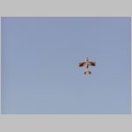 PA100009.html