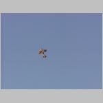 PA100010.html