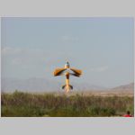 PA100014.html