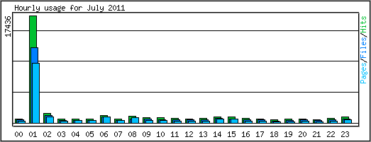 Hourly usage