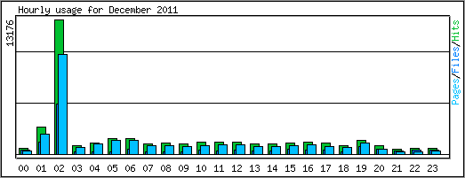Hourly usage