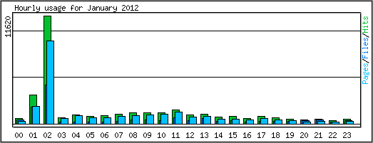 Hourly usage