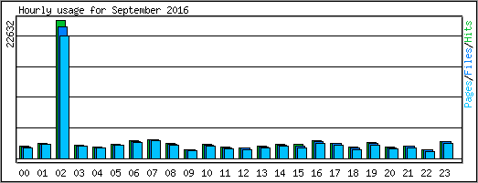 Hourly usage