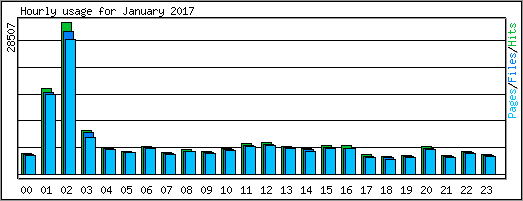 Hourly usage