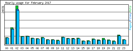 Hourly usage