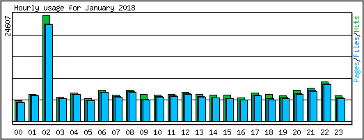 Hourly usage