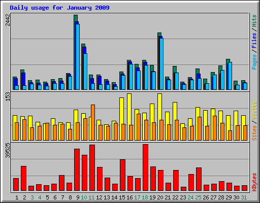 Daily usage for January 2009