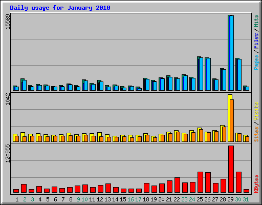 Daily usage for January 2010