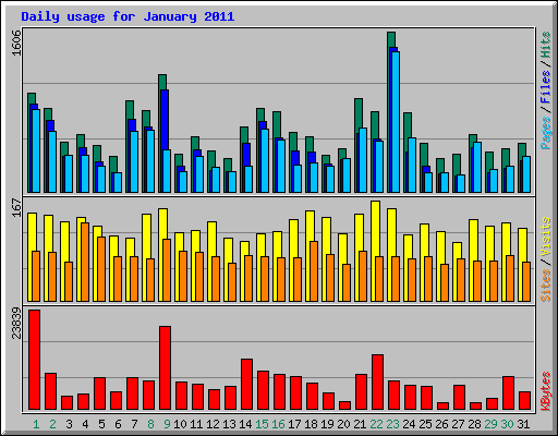 Daily usage for January 2011