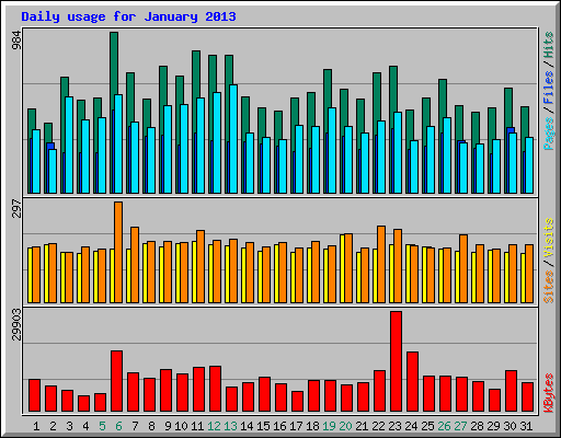 Daily usage for January 2013