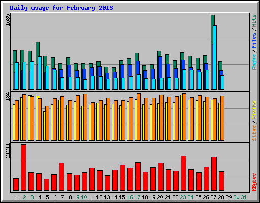 Daily usage for February 2013