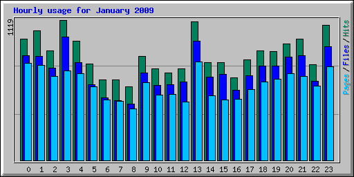 Hourly usage for January 2009