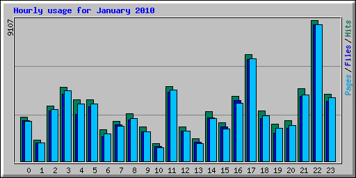 Hourly usage for January 2010