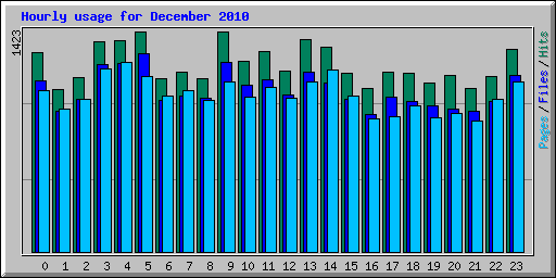 Hourly usage for December 2010