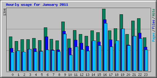 Hourly usage for January 2011