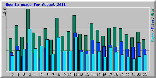 Hourly usage for August 2011
