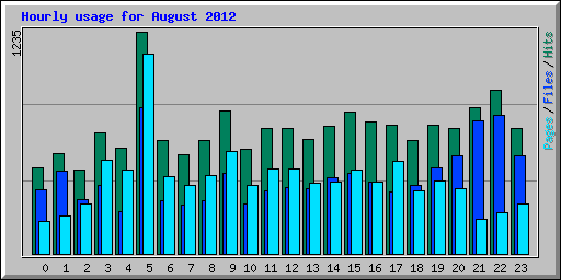 Hourly usage for August 2012