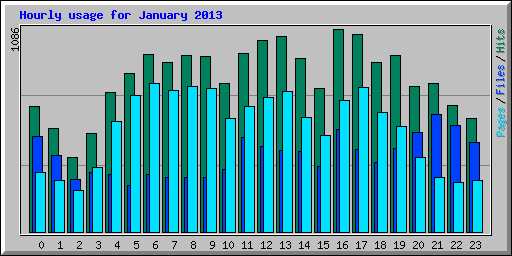 Hourly usage for January 2013