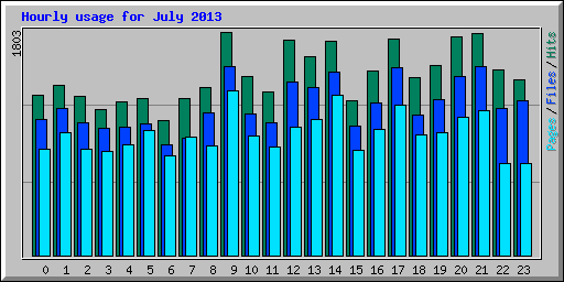 Hourly usage for July 2013