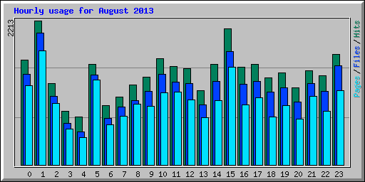 Hourly usage for August 2013