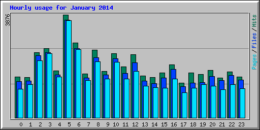Hourly usage for January 2014
