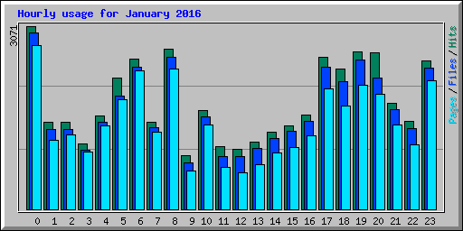 Hourly usage for January 2016