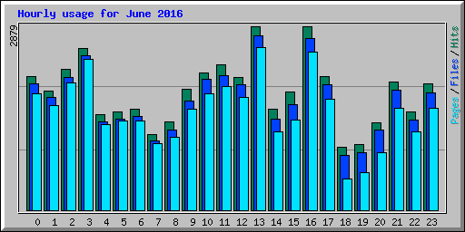 Hourly usage for June 2016