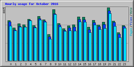 Hourly usage for October 2016