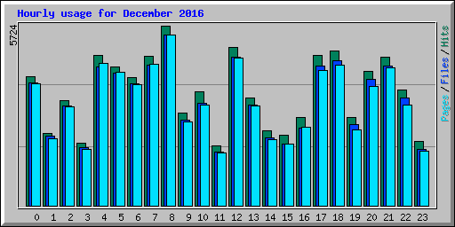 Hourly usage for December 2016