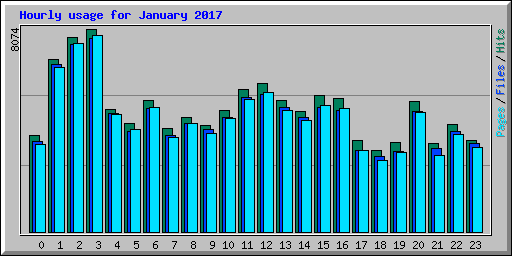 Hourly usage for January 2017