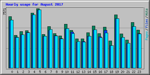Hourly usage for August 2017